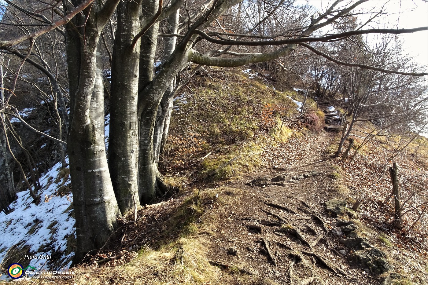 39 In decisa salita per il Monte Zucco.JPG